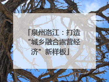 泉州洛江：打造“城乡融合露营经济”新样板