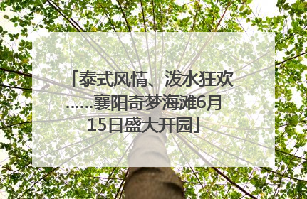 泰式风情、泼水狂欢……襄阳奇梦海滩6月15日盛大开园
