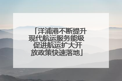 洋浦港不断提升现代航运服务能级 促进航运扩大开放政策快速落地