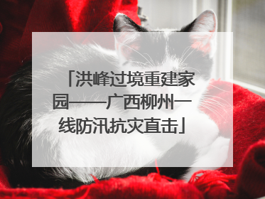 洪峰过境重建家园——广西柳州一线防汛抗灾直击