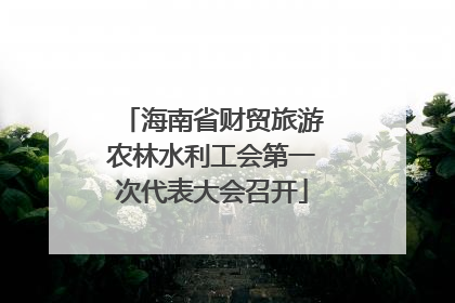 海南省财贸旅游农林水利工会第一次代表大会召开