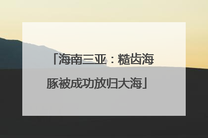 海南三亚：糙齿海豚被成功放归大海