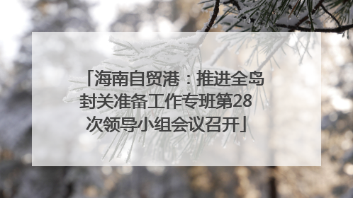 海南自贸港：推进全岛封关准备工作专班第28次领导小组会议召开