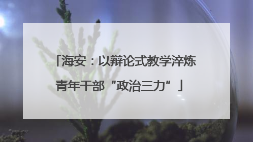 海安：以辩论式教学淬炼青年干部“政治三力”