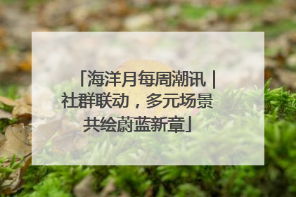 海洋月每周潮讯｜社群联动，多元场景共绘蔚蓝新章