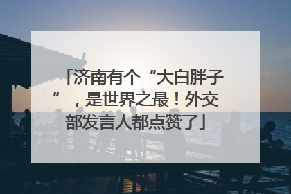 济南有个“大白胖子”，是世界之最！外交部发言人都点赞了