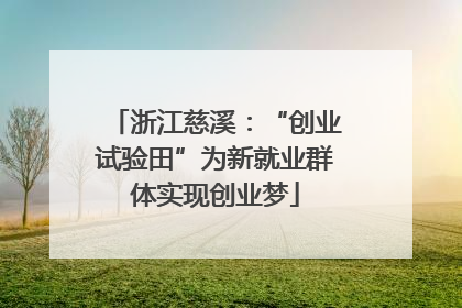 浙江慈溪：“创业试验田”为新就业群体实现创业梦