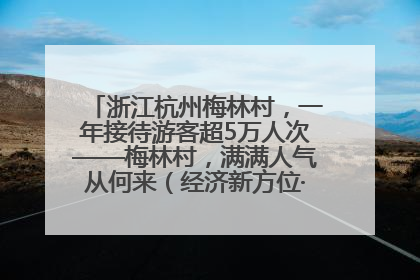 浙江杭州梅林村，一年接待游客超5万人次——梅林村，满满人气从何来（经济新方位·农村消费观察）