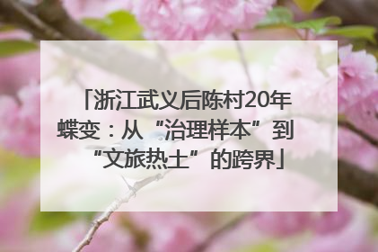 浙江武义后陈村20年蝶变：从“治理样本”到“文旅热土”的跨界