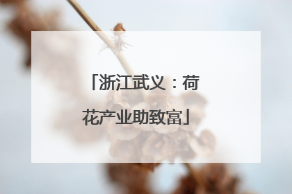 浙江武义：荷花产业助致富