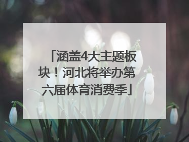 涵盖4大主题板块！河北将举办第六届体育消费季