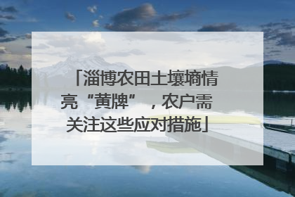 淄博农田土壤墒情亮“黄牌”，农户需关注这些应对措施