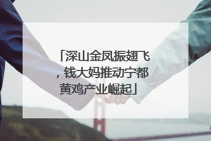 深山金凤振翅飞，钱大妈推动宁都黄鸡产业崛起