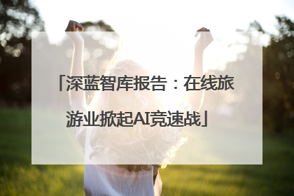 深蓝智库报告：在线旅游业掀起AI竞速战
