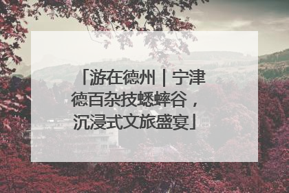 游在德州｜宁津德百杂技蟋蟀谷，沉浸式文旅盛宴