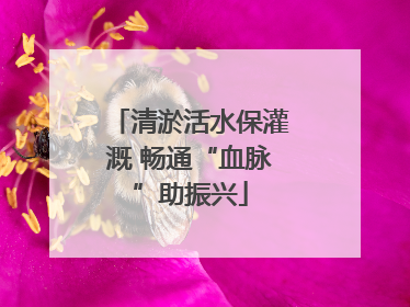 清淤活水保灌溉 畅通“血脉”助振兴