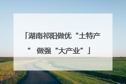 湖南祁阳做优“土特产” 做强“大产业”