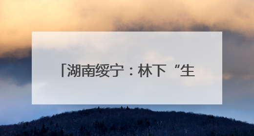 湖南绥宁：林下“生金”实现绿富双赢