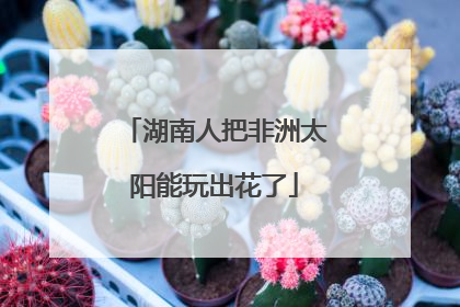 湖南人把非洲太阳能玩出花了