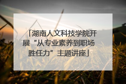 湖南人文科技学院开展“从专业素养到职场胜任力”主题讲座