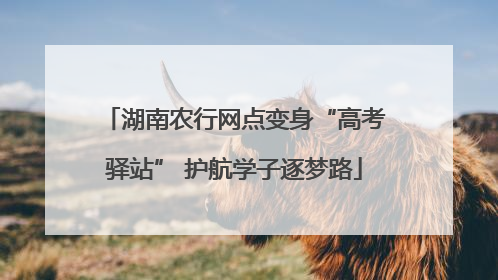 湖南农行网点变身“高考驿站” 护航学子逐梦路