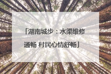 湖南城步：水渠维修通畅 村民心情舒畅