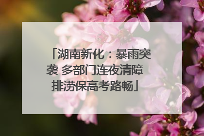 湖南新化：暴雨突袭 多部门连夜清障排涝保高考路畅