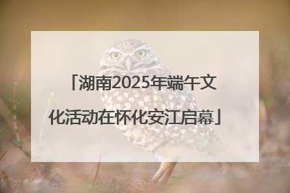 湖南2025年端午文化活动在怀化安江启幕
