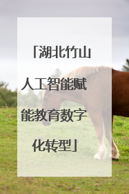 湖北竹山人工智能赋能教育数字化转型