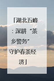 湖北五峰：深耕“茶乡警务” 守护春茶经济