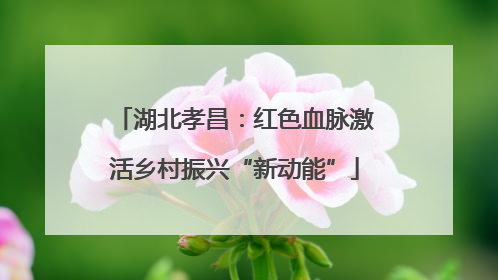 湖北孝昌：红色血脉激活乡村振兴“新动能”