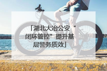 湖北大冶公安“闭环管控”提升基层警务质效