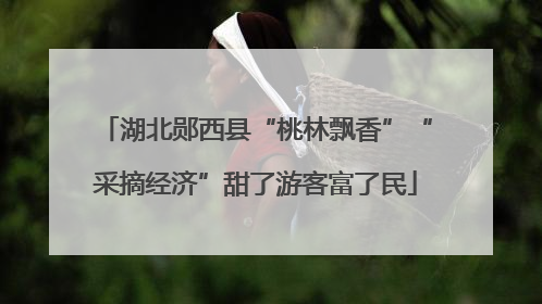 湖北郧西县“桃林飘香”“采摘经济”甜了游客富了民
