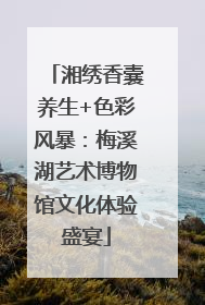湘绣香囊养生+色彩风暴：梅溪湖艺术博物馆文化体验盛宴