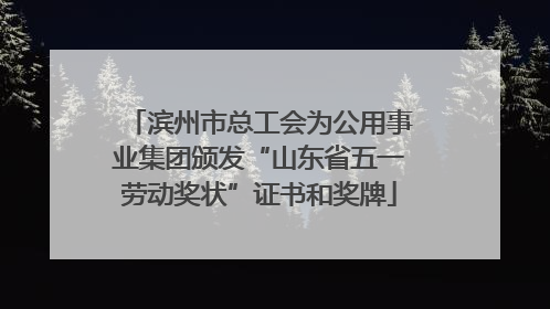 滨州市总工会为公用事业集团颁发“山东省五一劳动奖状”证书和奖牌