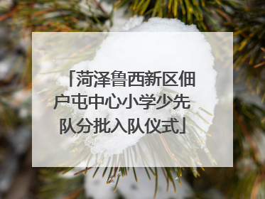 菏泽鲁西新区佃户屯中心小学少先队分批入队仪式