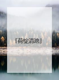 荷绽清池
