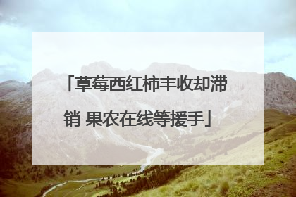 草莓西红柿丰收却滞销 果农在线等援手