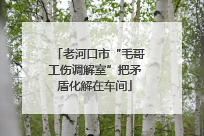 老河口市“毛哥工伤调解室”把矛盾化解在车间