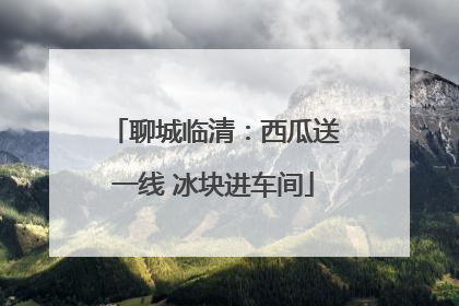 聊城临清：西瓜送一线 冰块进车间