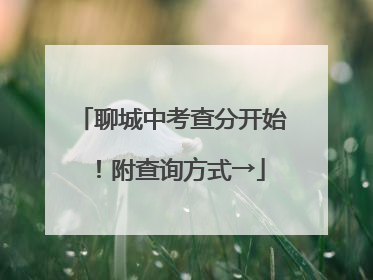 聊城中考查分开始！附查询方式→