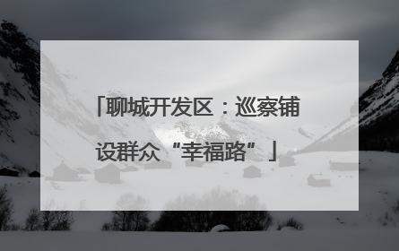 聊城开发区：巡察铺设群众“幸福路”