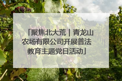 聚焦北大荒｜青龙山农场有限公司开展普法教育主题党日活动