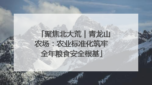 聚焦北大荒｜青龙山农场：农业标准化筑牢全年粮食安全根基