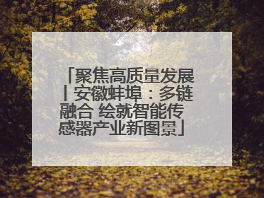 聚焦高质量发展丨安徽蚌埠：多链融合 绘就智能传感器产业新图景