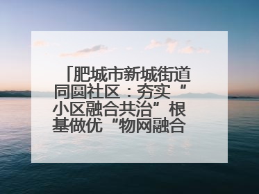 肥城市新城街道同圆社区：夯实“小区融合共治”根基做优“物网融合一家亲”品牌