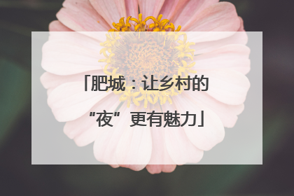 肥城：让乡村的“夜”更有魅力