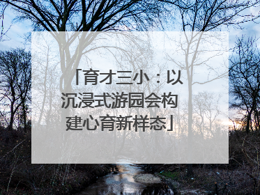 育才三小：以沉浸式游园会构建心育新样态