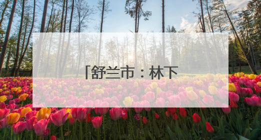 舒兰市：林下养白鹅 “点绿成金”富农家