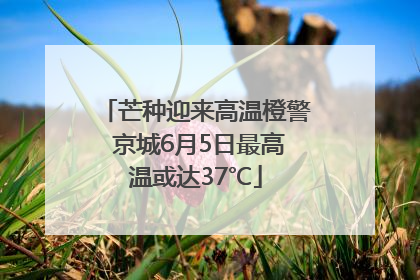 芒种迎来高温橙警 京城6月5日最高温或达37℃